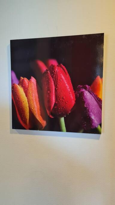 Oude Meesters Bolsward Dış mekan fotoğraf